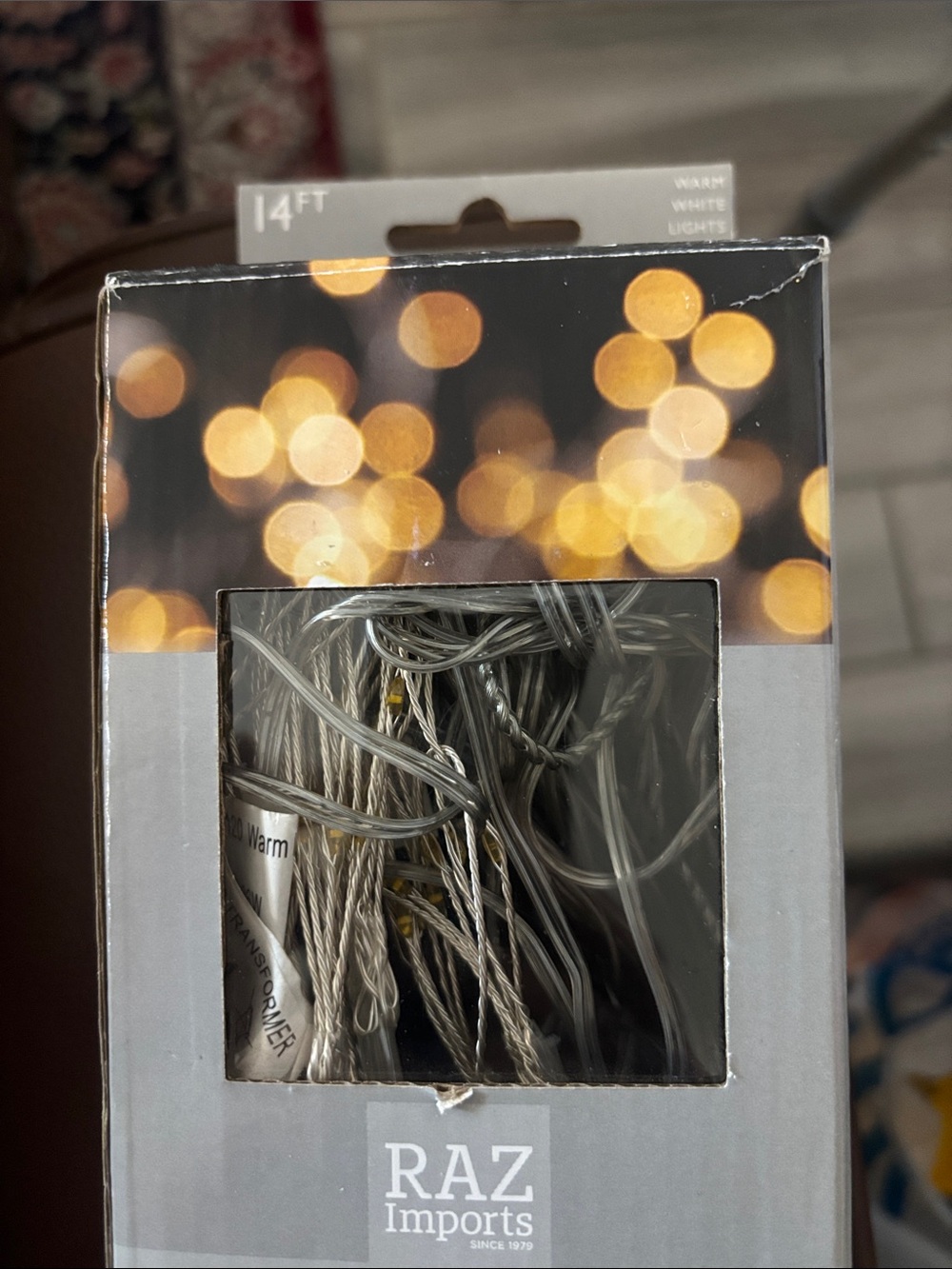 RAZ Imports Warm White Decorative Lantern String Lights